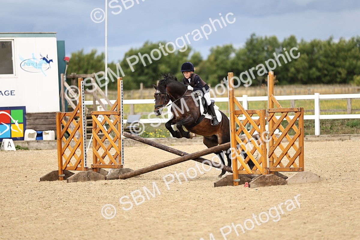 SBM_002915 - 50cm