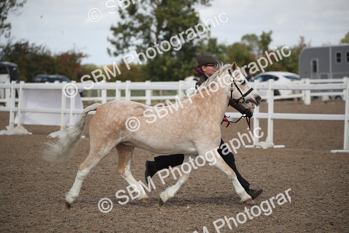 SBM_23496 - Class 604 - 2026 - Area IH Diamond