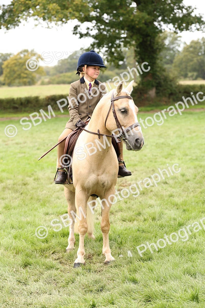 SBM_63049 - S64 - Foreign Breeds Ridden