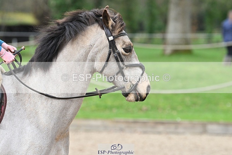 240302-103237-00452 - Cls 1 70-75cm 9.55 to End