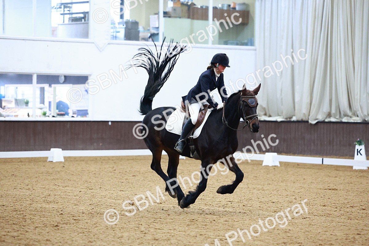 SBM_001577 - Novice Music