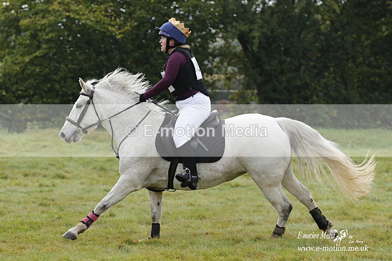  WWHT 171021 0845 - Open Novice (0.80m)  17/10/21