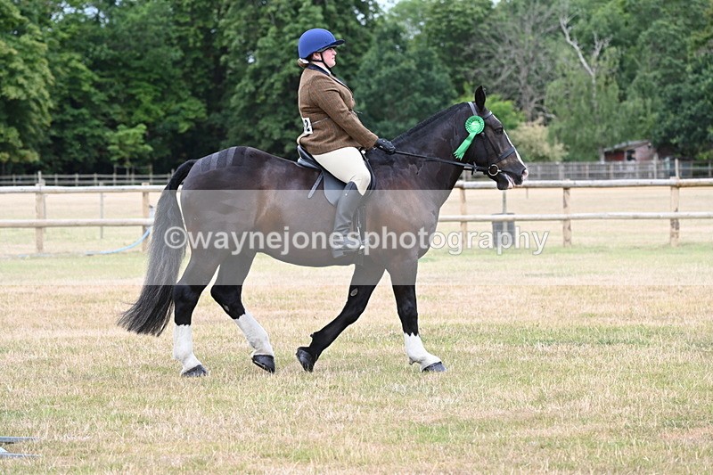 WJ6_4095 - Class 9 Tack & Turnout