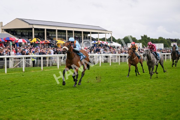 150624-Race 5-The Strikin Viking-7657 - Race 5 4.10pm Reg Griffin Appreciation ebfstallions.com Maiden Stakes