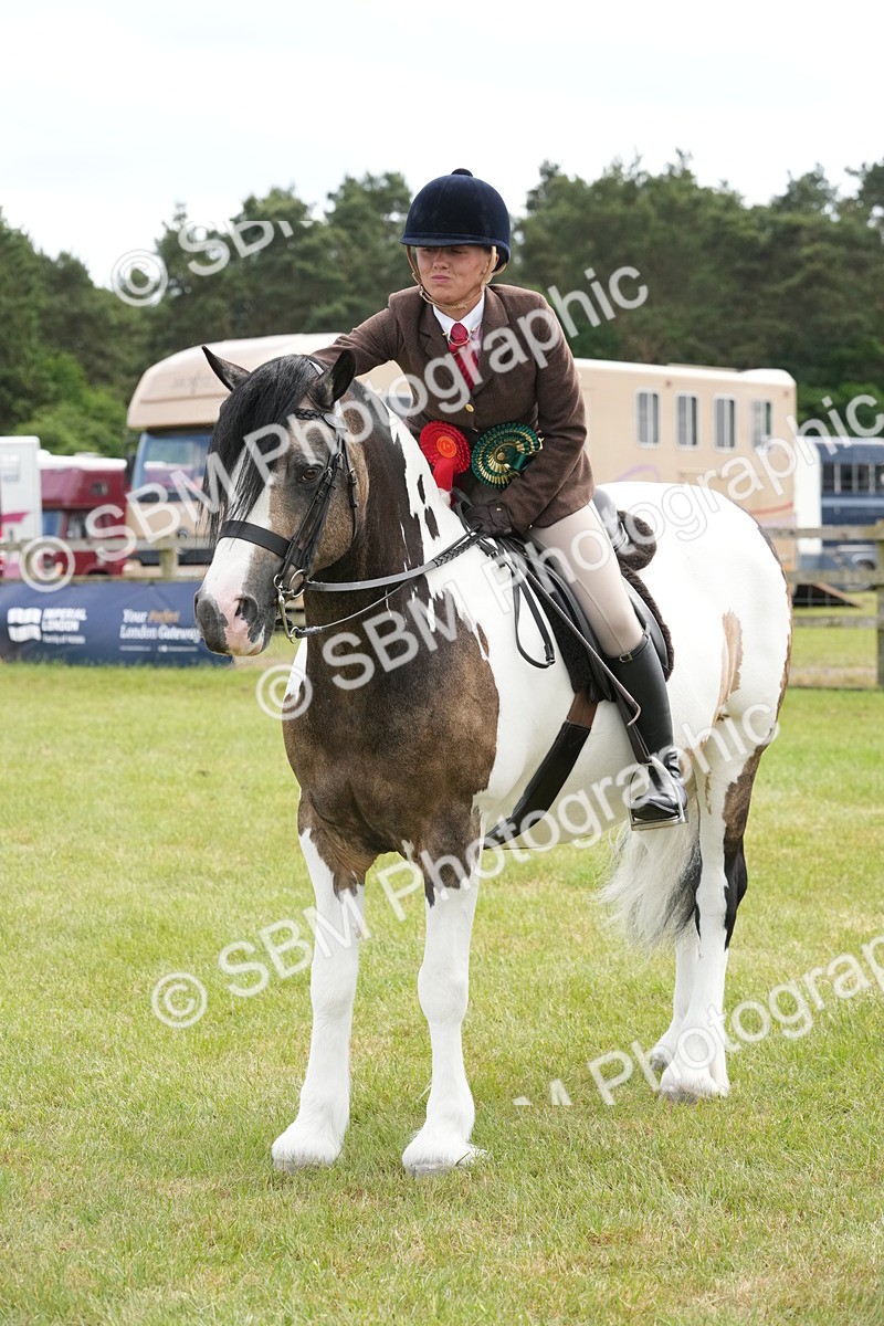 SBM_17337 - Class 107-108 - LIHS BSPS Performance Coloured Horse Pony