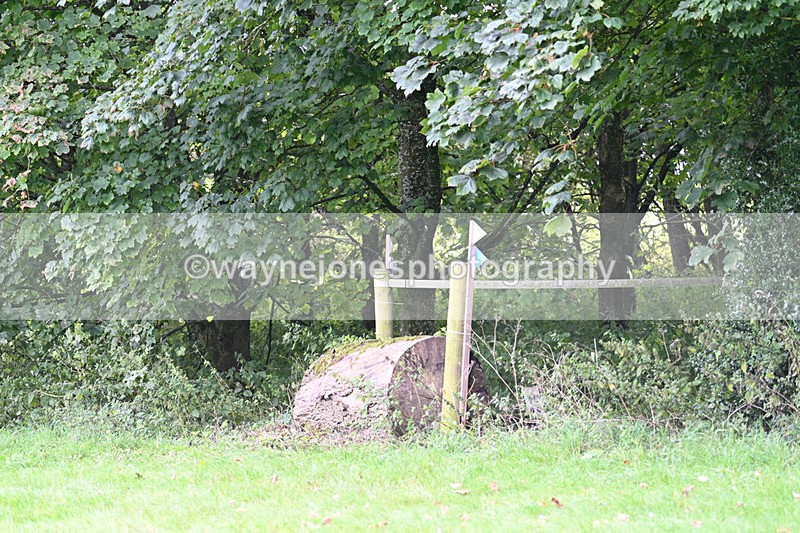 WJ7_7739 - Time 13:50 to 14:03