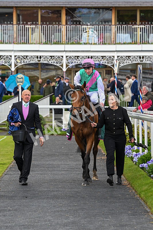 130526-Race 5-Legacy Link-3314 - Race 5 4.05pm Tattersalls Musidora Stakes