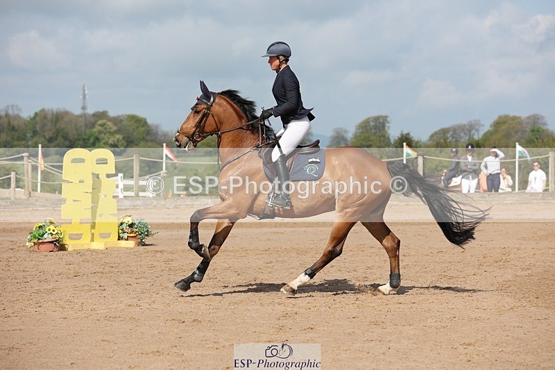 250427-104229-15560 - Cls 36 Young Horse 7yr old