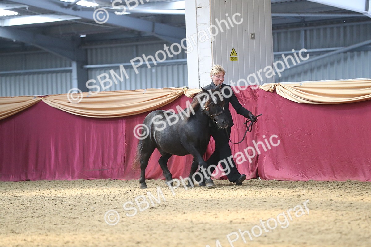 SBM_15168 - Class 501 M&M IH Supreme Final