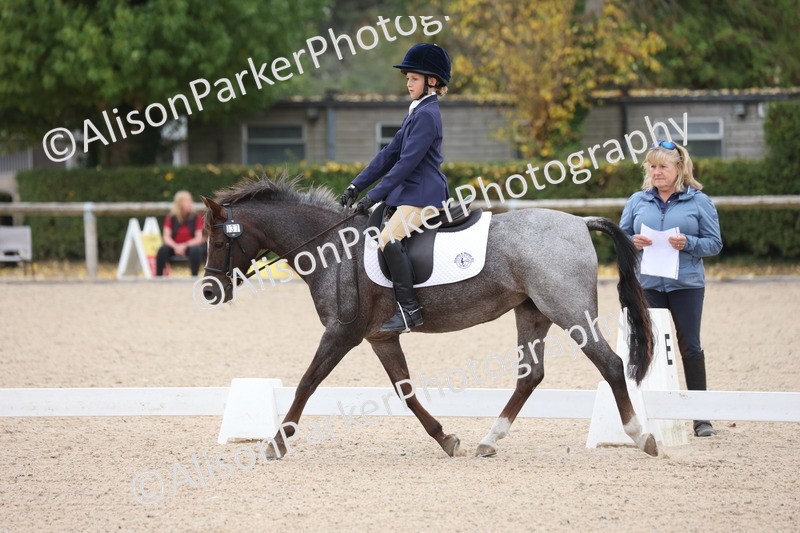 20250819-0876 - Class 2 - Prelim 1