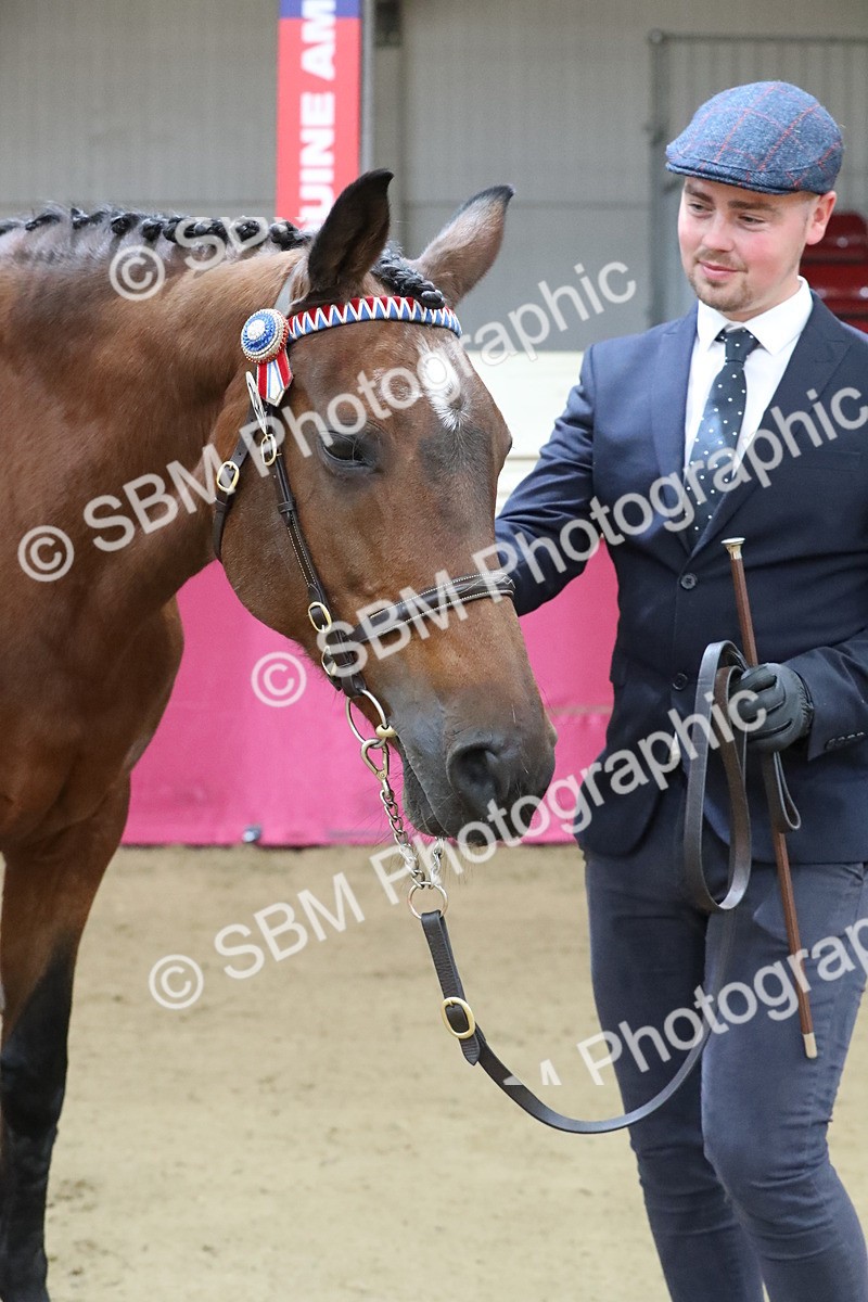 SBM_00278 - Class 1a - Area IH Diamond