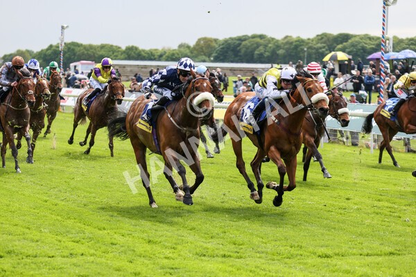 yr11052022r2-31 - Race 2 2.25pm Churchill Tyres Stakes