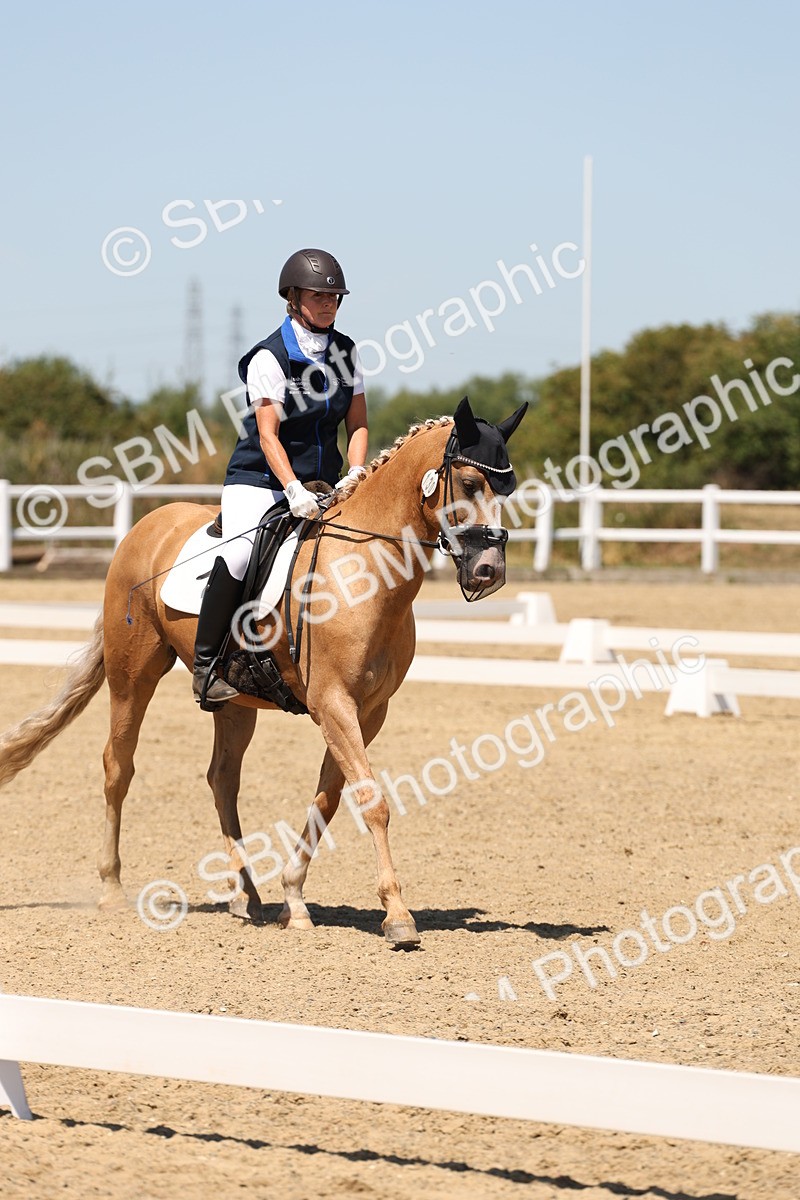 SBM_002223 - Elementary 4 Warm Up