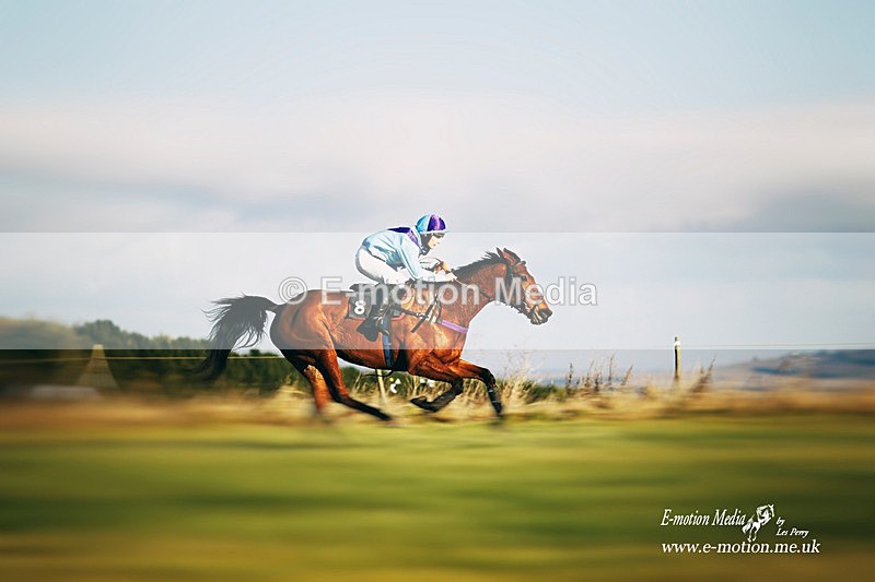 PtP 080111 50a - Equestrian