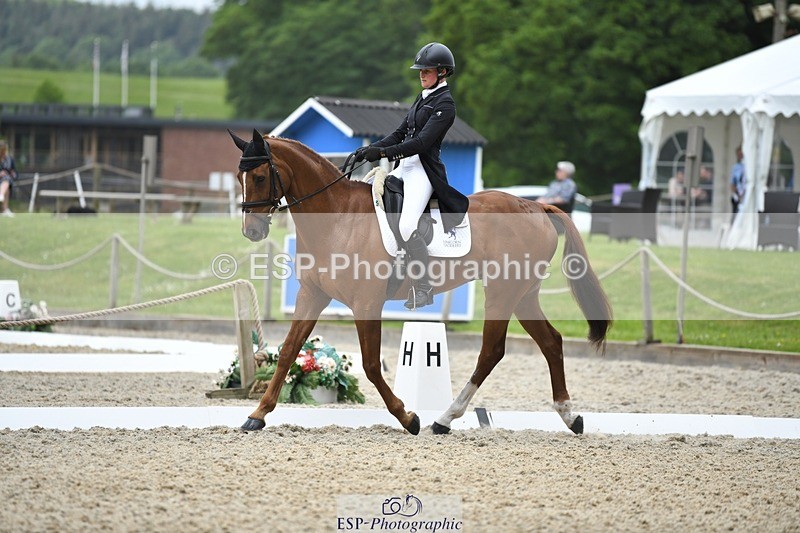 230525-125934-02072 - 113-I'M_A_WONDER-Rosie_Fry-WEDTrotUp+DR