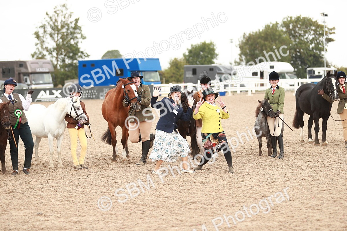 SBM_11936 - Class 206 IH Non Show Type Pony