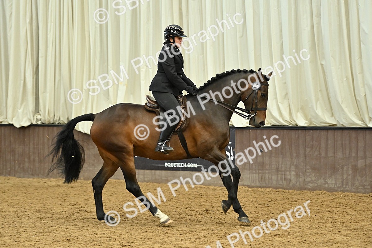 SBM_002058 - Class 23 - BSHA Ridden Show Hunter