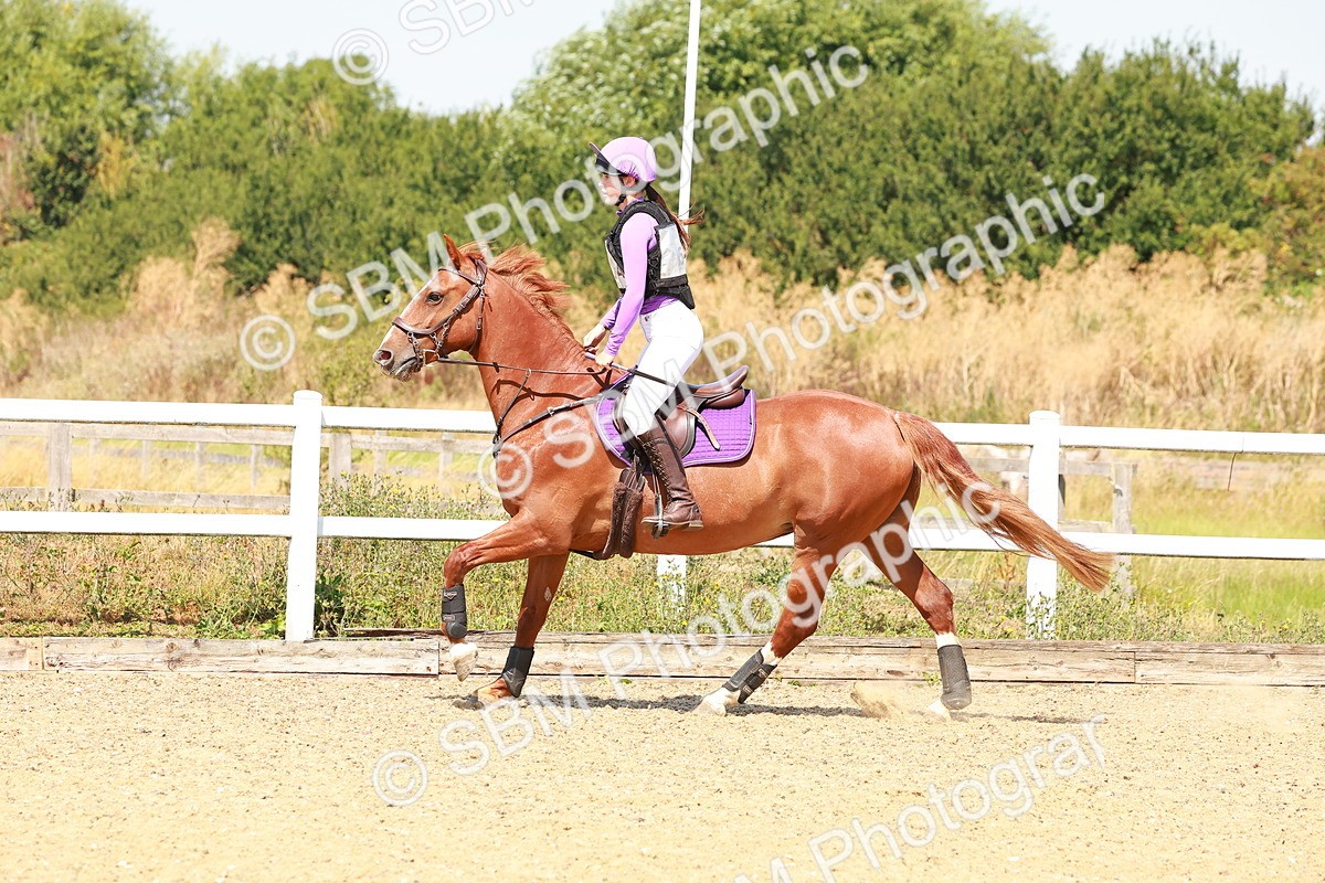 SBM_002260 - AE - 70cm