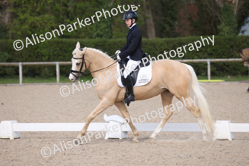 20260405-0312 - Class 4 - Novice 6