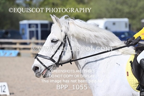 BPP_1055 - CLASS 2 50CM