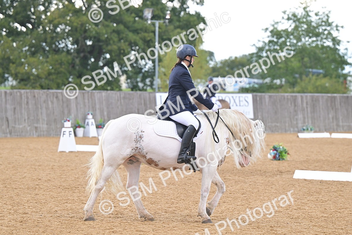 SBM_11205 - D3 - Small Tour Championship Intro 3