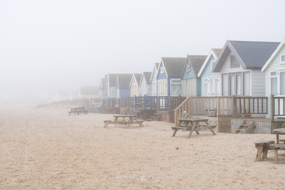 Pre Season - No picnic today - Pre-Season