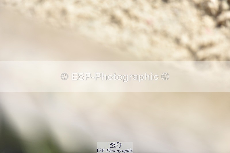 240605-144430-00645 - Cls 9 Adv Medium 92