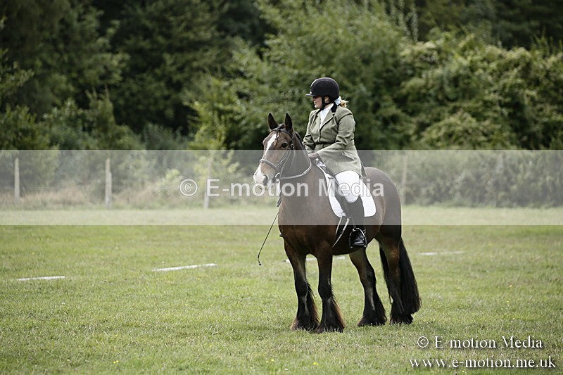BVR080918 110 - BVRC Novice Dressage & CR 08/09/18