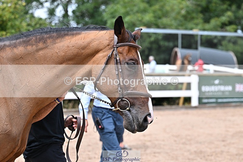 250716-130356-00299 - Trot Up 12.30 to 1.30