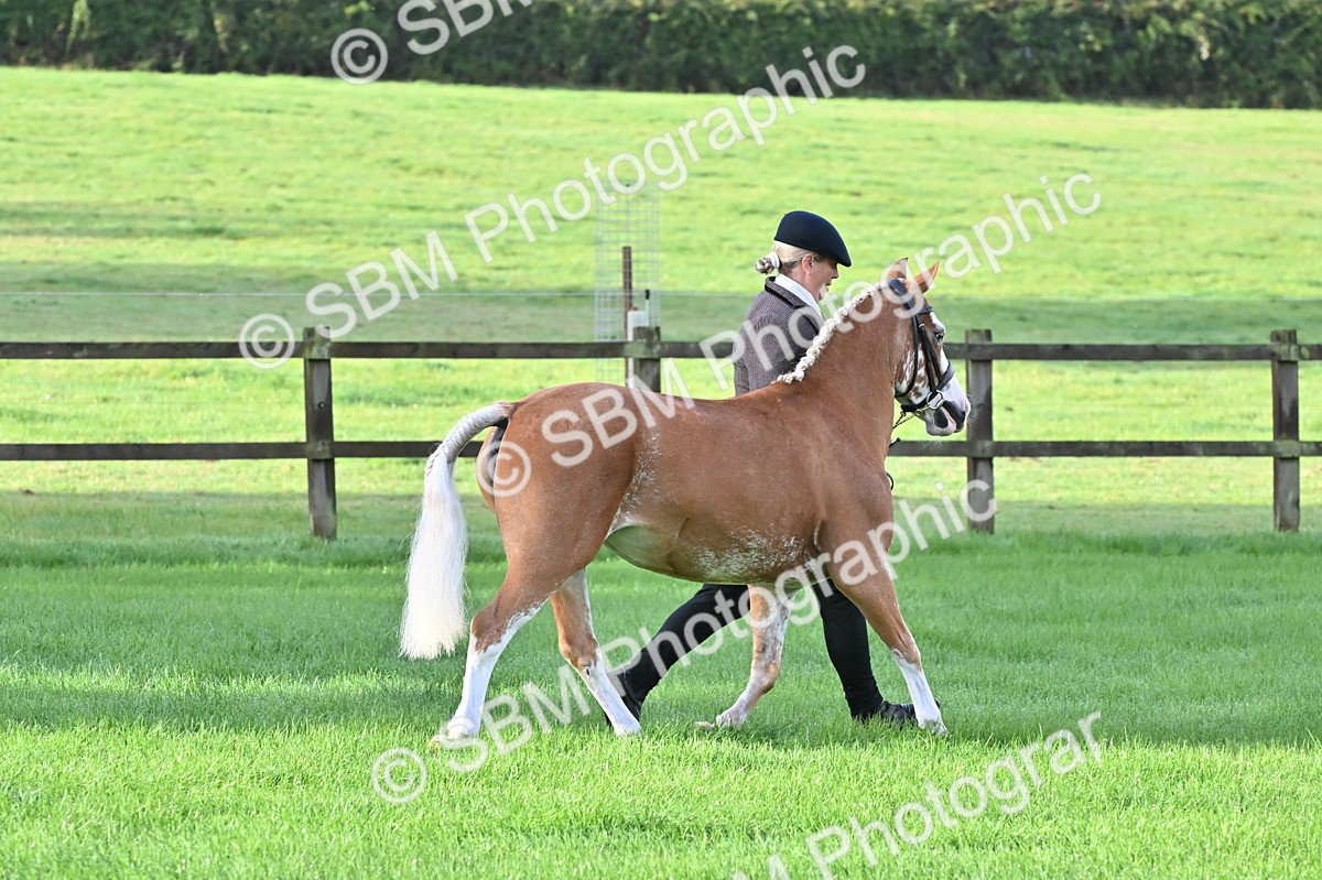 SBM_32597 - S15 - Top Turnout In Hand