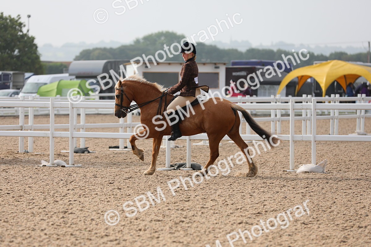 SBM_10089 - Class 302 Ridden M&M -Large Breeds