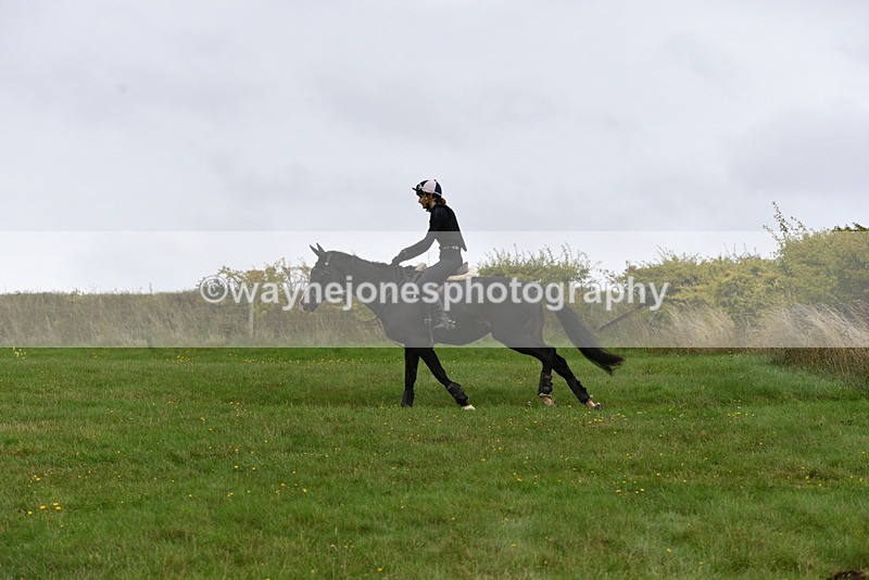 WJ5_6795 - Time 13:13 to 13:29