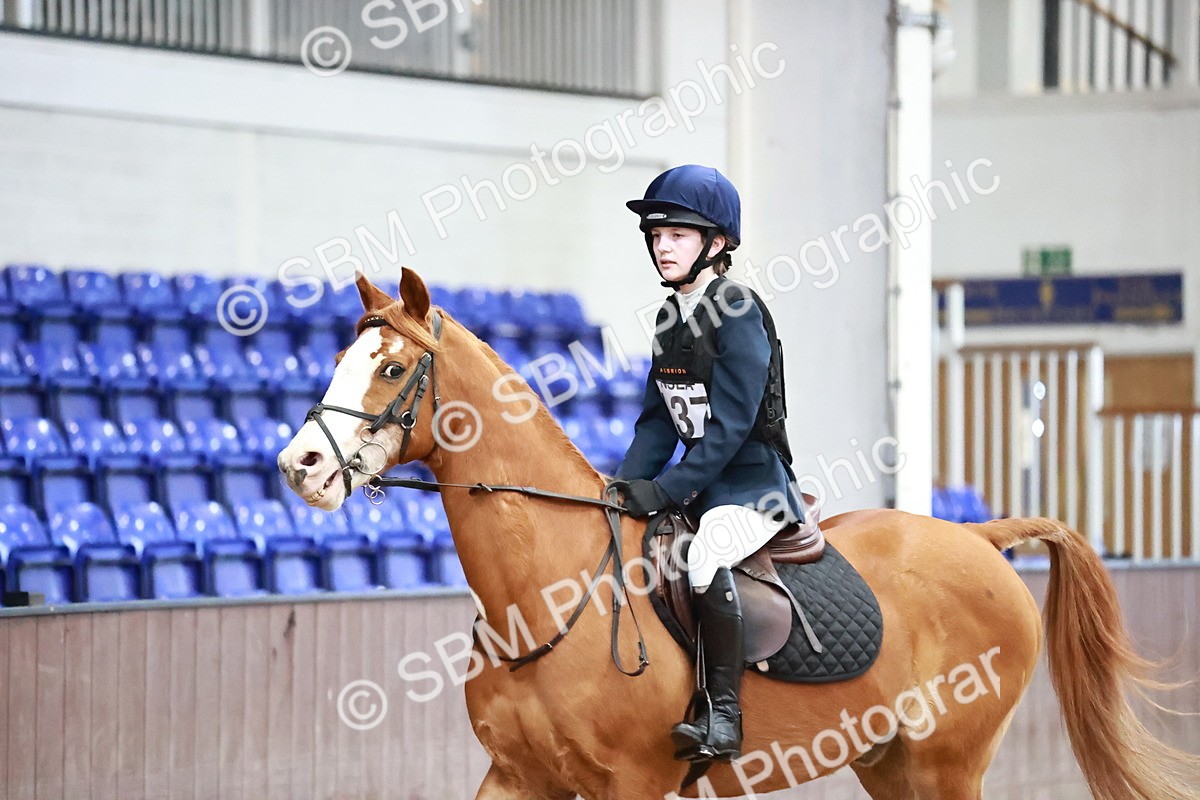 SBM_000973 - Class 3 - 60cm