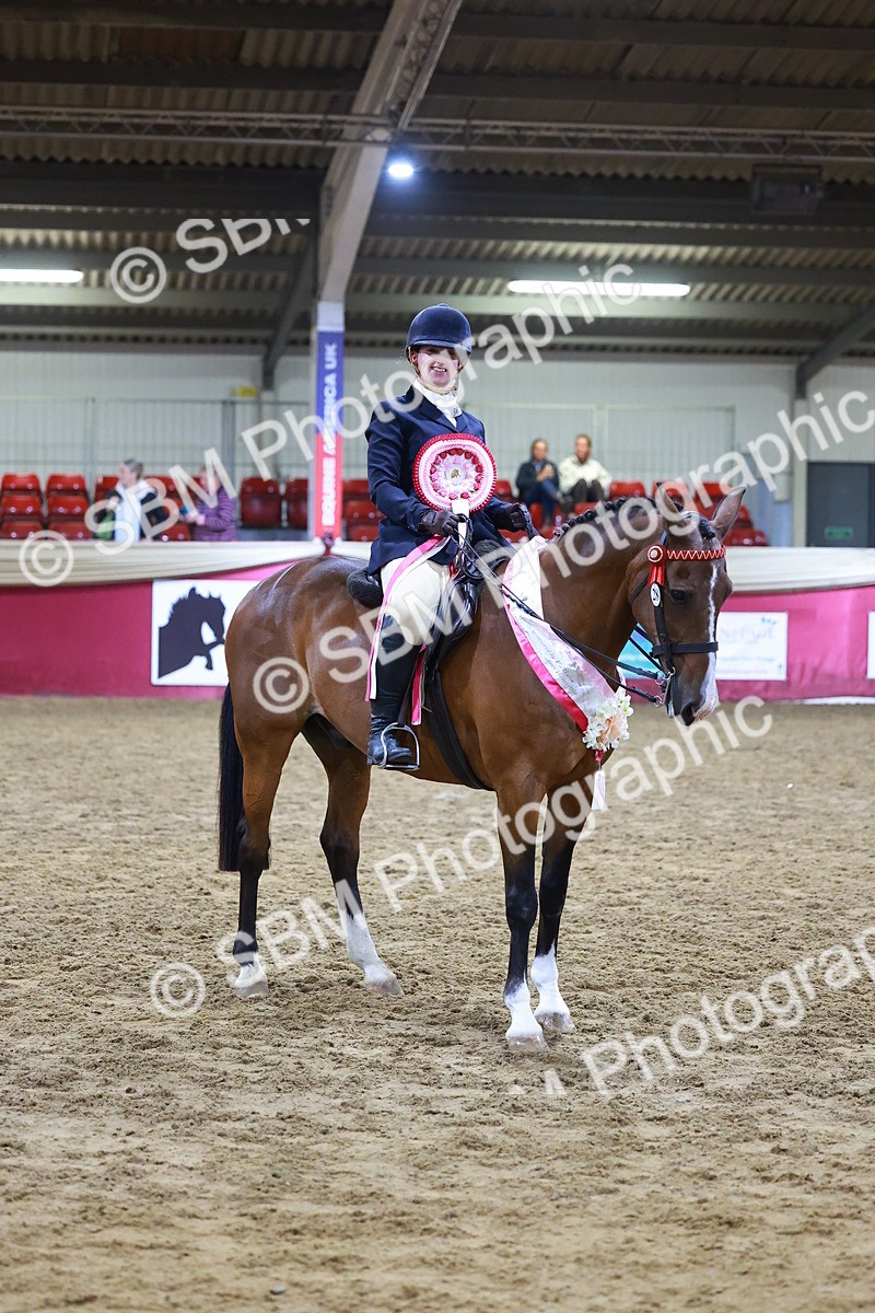 SBM_15567 - Class R - Veteran Champ