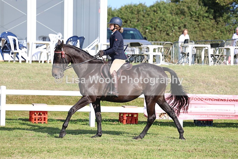 3E7A5610 - Class 2: Rising Star Large Hack/Riding Horse