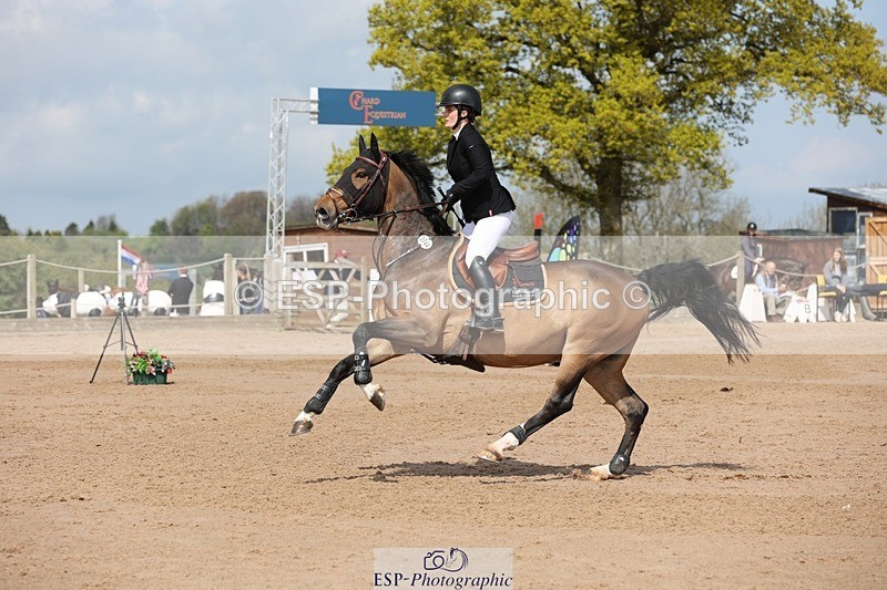 250427-111121-15846 - Cls 36 Young Horse 7yr old