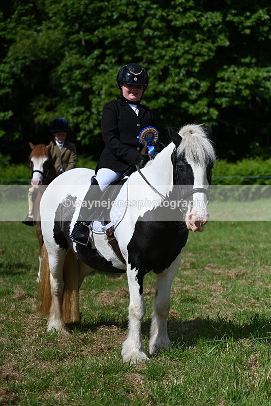 WJ7_0828 - Class 8 First Rally Pony