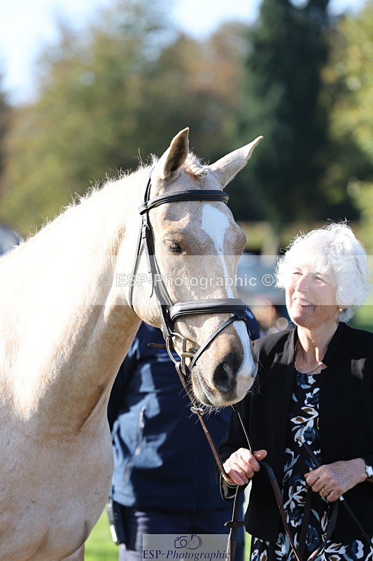 241027-103337-15965 - 519-Jane.Rogers-CORRIEVIEW.MERLIN.MAGIC