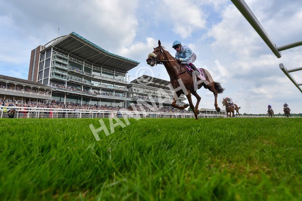 170524-Race 4-Giavellotto-6264 - Race 4 3.45pm Boodles Yorkshire Cup Stakes