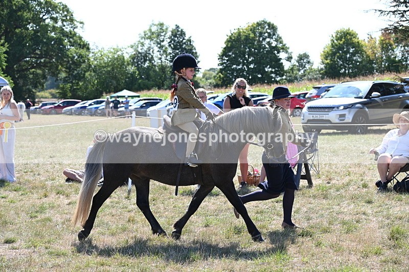 WJ6_7799 - Class 36 Lead Rein