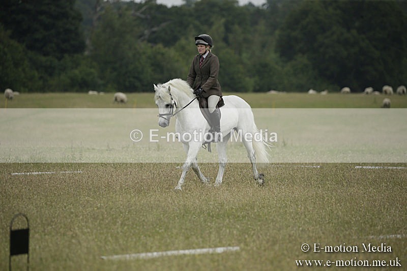 B230619-0346 - Bourne Valley Riding Club Summer Show 23/06/19