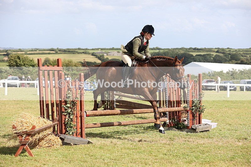 JPP_2553 - Class 20: Working Hunter 70cm