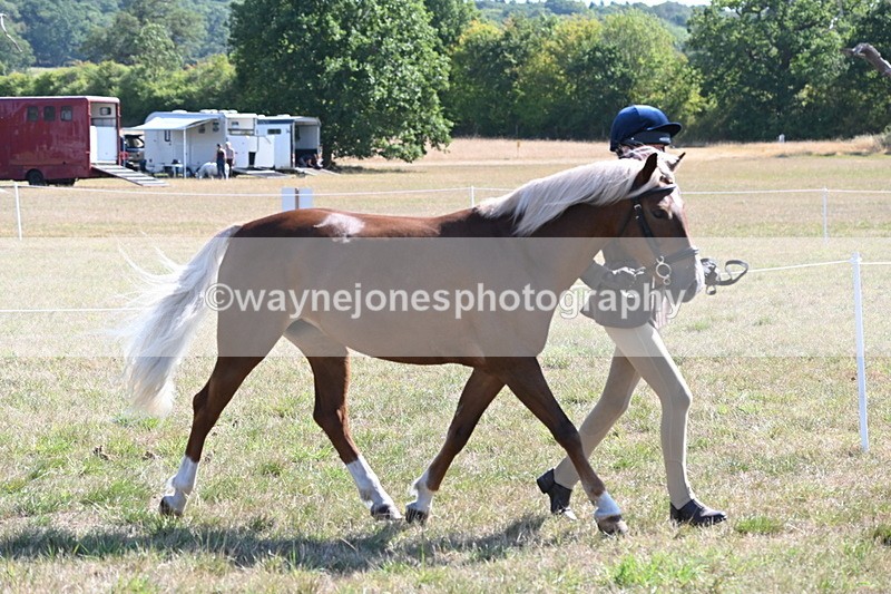 WJ6_4710 - Class 17 Mountain & Moorland