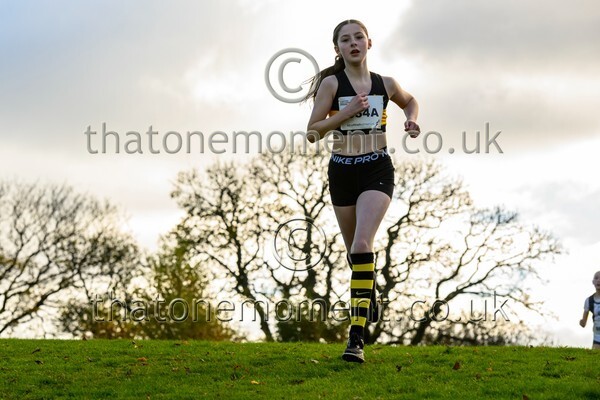 NatRel25-913298 - Young Female Set One