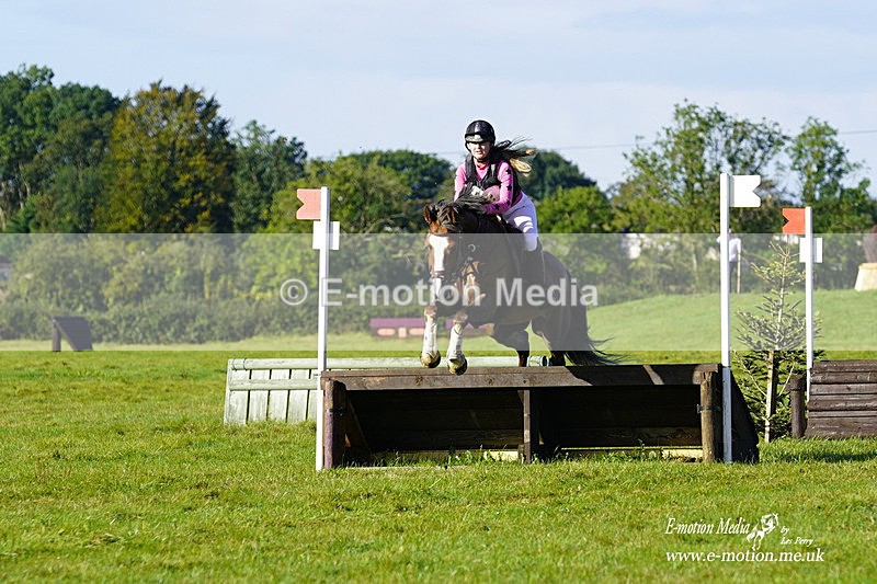 WWHT 031021 614 - Novice Restricted (0.80m) 03/10/21