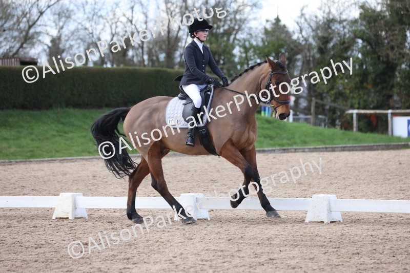 20260228-0804 - Class 6 - Novice 3