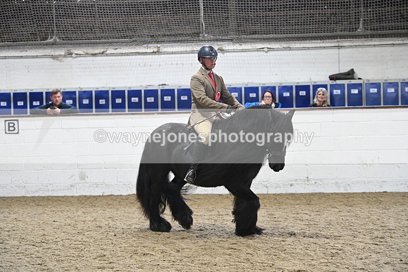 WJ7_4538 - Afternoon Champs