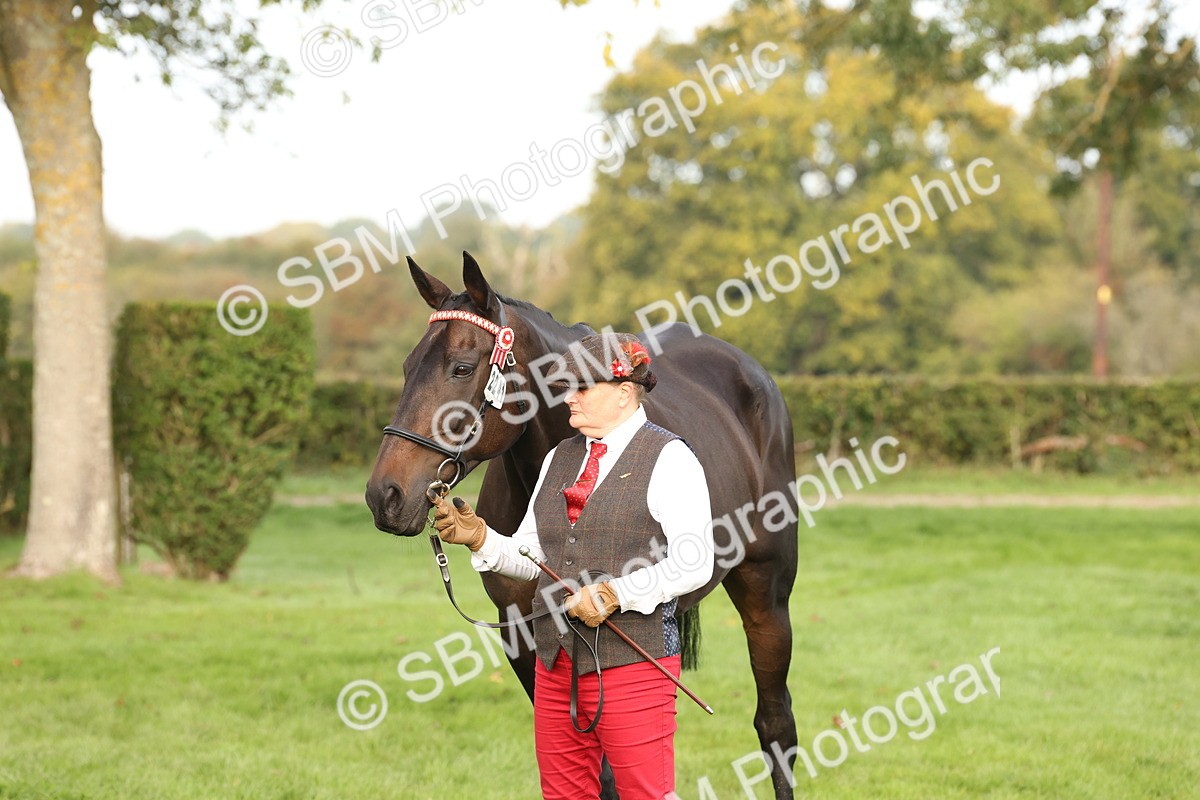 SBM_54706 - S53 - Hunter In Hand
