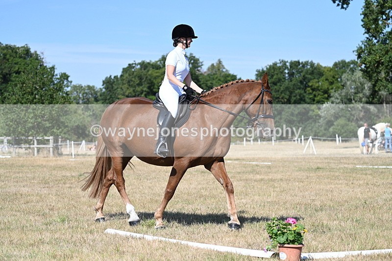 WJ7_0008 - Time 11:03 to 11:28