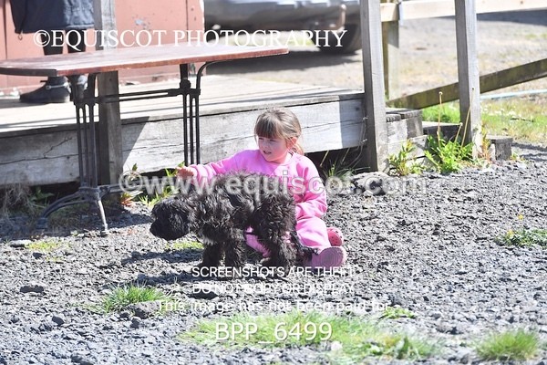 BPP_6499 - CLASS 34 MON Scottish Spring Final 95cm